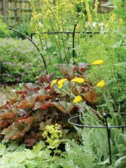 Essex Plant Supports -garden Sales Store 37423 280 tif