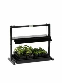 Compact Tabletop SunLite® Garden