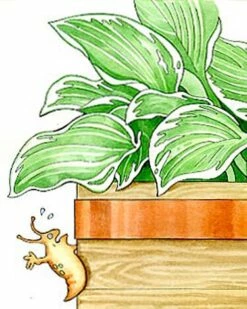 Copper Slug Tape -garden Sales Store 38 994 b