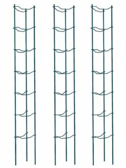 Tomato Ladders, Set Of 3 10 Tomato Ladders, Set Of 3 -garden Sales Store 38184 002E psd
