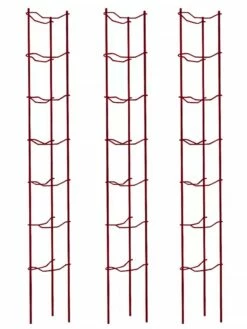 Tomato Ladders, Set Of 3 11 Tomato Ladders, Set Of 3 -garden Sales Store 38185 002E psd