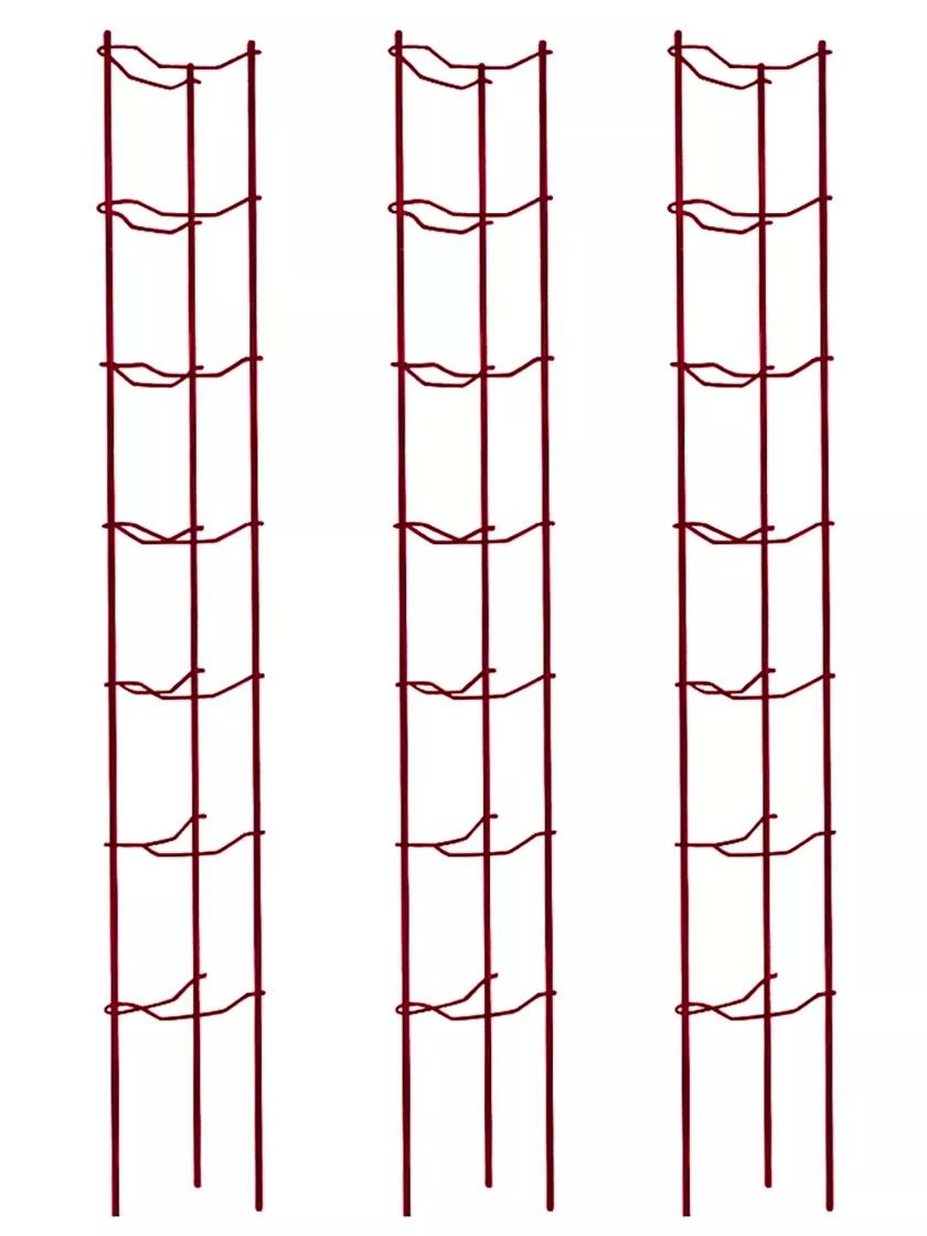 Tomato Ladders, Set Of 3 6 Tomato Ladders, Set Of 3 - Image 4