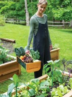 Garden Hods 11 Garden Hods -garden Sales Store 39 761 0146 tif