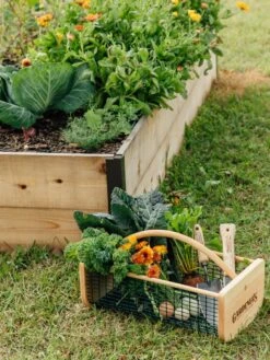 Garden Hods 10 Garden Hods -garden Sales Store 39 761 572 tif