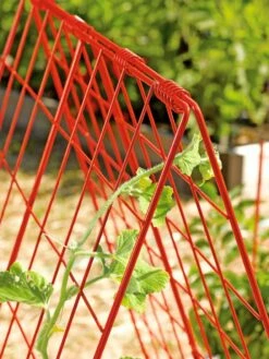 Deluxe Cucumber Trellis 12 Deluxe Cucumber Trellis -garden Sales Store 39806 542 tif