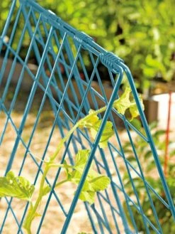 Deluxe Cucumber Trellis 14 Deluxe Cucumber Trellis -garden Sales Store 39806 BLUE 100 tif