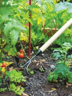 Gardener's Lifetime Long-Handled Double Tool -garden Sales Store 3 4 crop 8592107 2460 tif