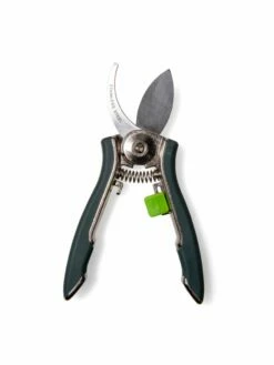 Houseplant Pruner -garden Sales Store 3 4 crop 8612961 0011