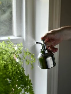 Indoor Plant Mister -garden Sales Store 3 4 crop 8612962 02V tif