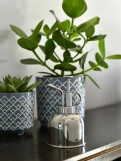 Indoor Plant Mister -garden Sales Store 3 4 crop 8612962 03V tif