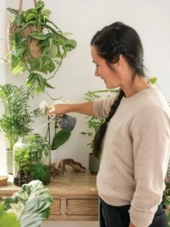 Indoor Plant Mister -garden Sales Store 3 4 crop 8612962 3792