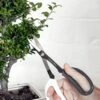 Japanese Pruning Scisssors -garden Sales Store 3 4 crop 8612968 02V japanese pruning scisssors
