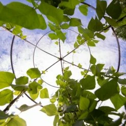 Jardin Tower -garden Sales Store 3 4 crop 8612997 0033