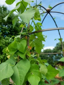 Jardin Tower -garden Sales Store 3 4 crop 8612997 0058