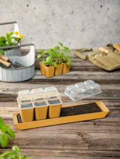 Gardener's Best® Humidity Dome, Set Of 2 -garden Sales Store 3 4 crop 8613067 10063