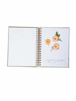 Herbarium Journal -garden Sales Store 3 4 crop 8613227 2987