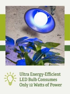Miracle LED® Grow Light Bulb, Blue 11 Miracle LED® Grow Light Bulb, Blue -garden Sales Store 3 4 crop Miracle Bulb Blue 2