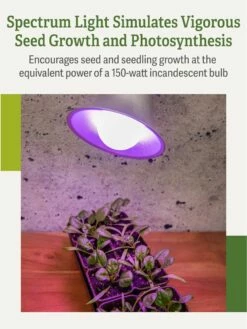 Miracle LED® Grow Light Bulb, Red And Blue -garden Sales Store 3 4 crop Miracle Bulb RB 3