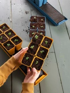 Gardener's Best® XL Seed Starting Kit 21 Gardener's Best® XL Seed Starting Kit -garden Sales Store 40 135 6186