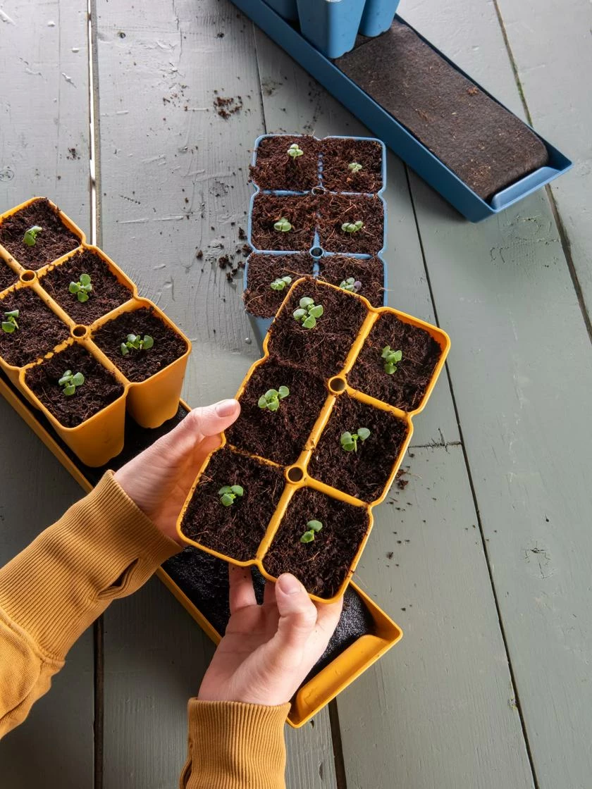 Gardener's Best® XL Seed Starting Kit 11 Gardener's Best® XL Seed Starting Kit - Image 9