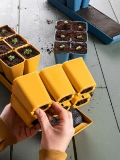 Gardener's Best® XL Seed Starting Kit 23 Gardener's Best® XL Seed Starting Kit -garden Sales Store 40 135 6188