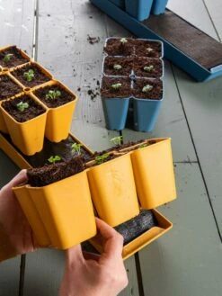 Coco Coir Seed Starting Mix -garden Sales Store 40 135 6192