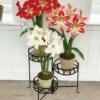 Nesting Triple Pot Stand -garden Sales Store 8586747 6012 tif