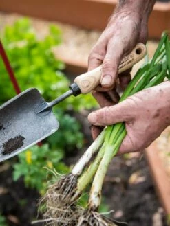Gardener's Lifetime Trowel -garden Sales Store 8586972 3286 tif