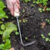 Gardener's Lifetime Cape Cod Weeder, Right-Handed -garden Sales Store 8586974 2361 tif