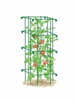 Tomato Cage, Single -garden Sales Store 8587039 TomatoCage GRN tif