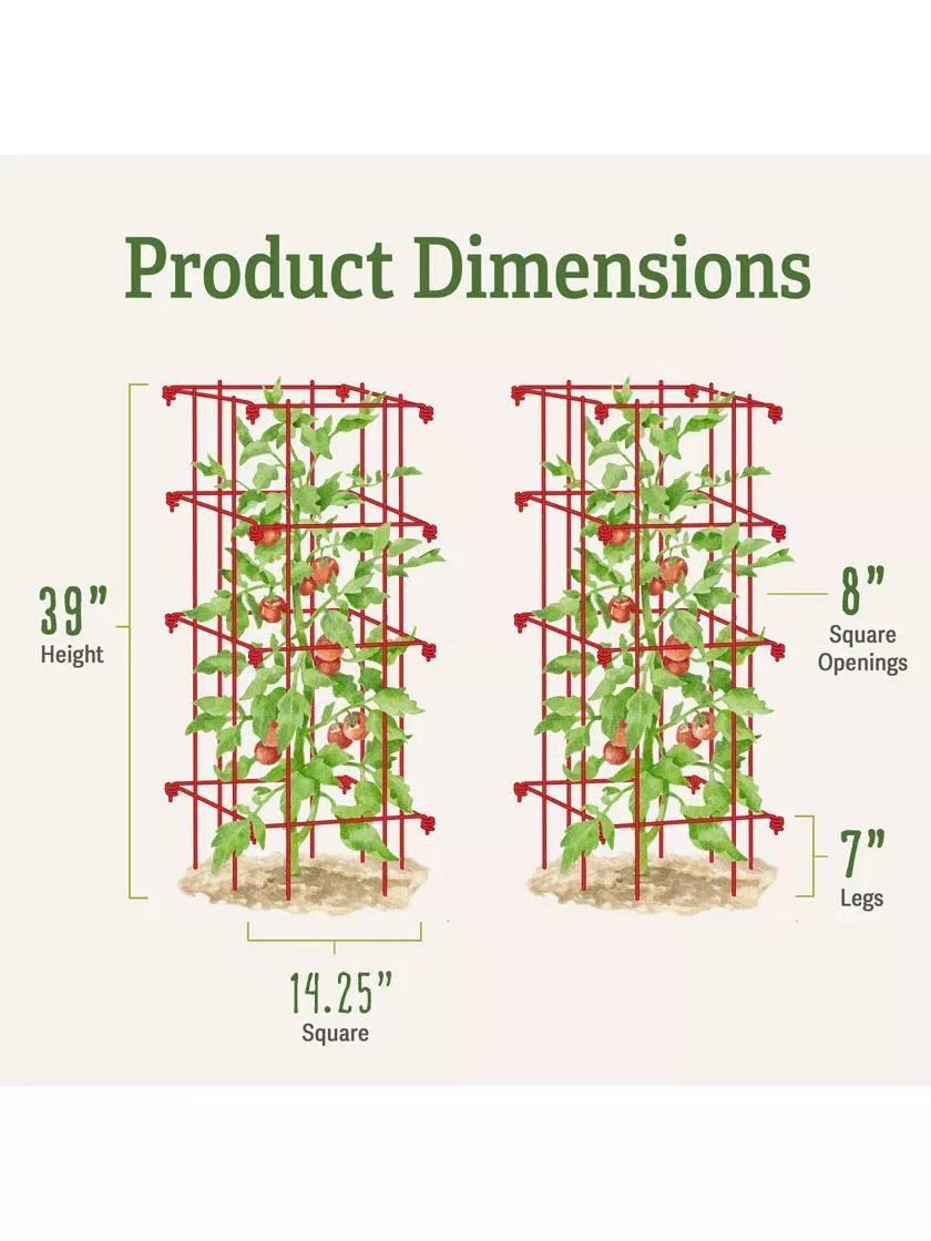 Tomato Cages, Set Of 4 8 Tomato Cages, Set Of 4 - Image 6