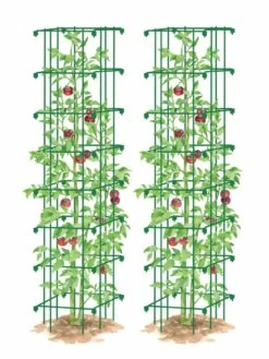 Tomato Towers, Set Of 2 -garden Sales Store 8587041 0006 GRN tif
