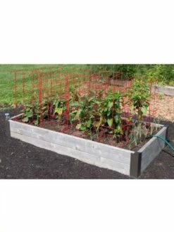 Pepper And Eggplant Cages, Set Of 3 -garden Sales Store 8587048 6008 3 4
