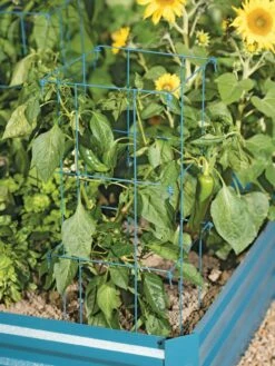 Pepper And Eggplant Cages, Set Of 3 -garden Sales Store 8587048 9792 tif
