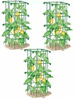 Pepper And Eggplant Cages, Set Of 3 -garden Sales Store 8587048 GR 001E pepper and eggplant cages set of 3 tif