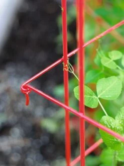 Tall Expandable Pea Trellis -garden Sales Store 8587061 010 tif