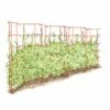 Expandable Pea Trellis -garden Sales Store 8587061 PeaFence Red 001E tif