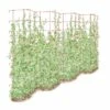 Tall Expandable Pea Trellis -garden Sales Store 8587062 0001 RED tall expandable pea trelis tif