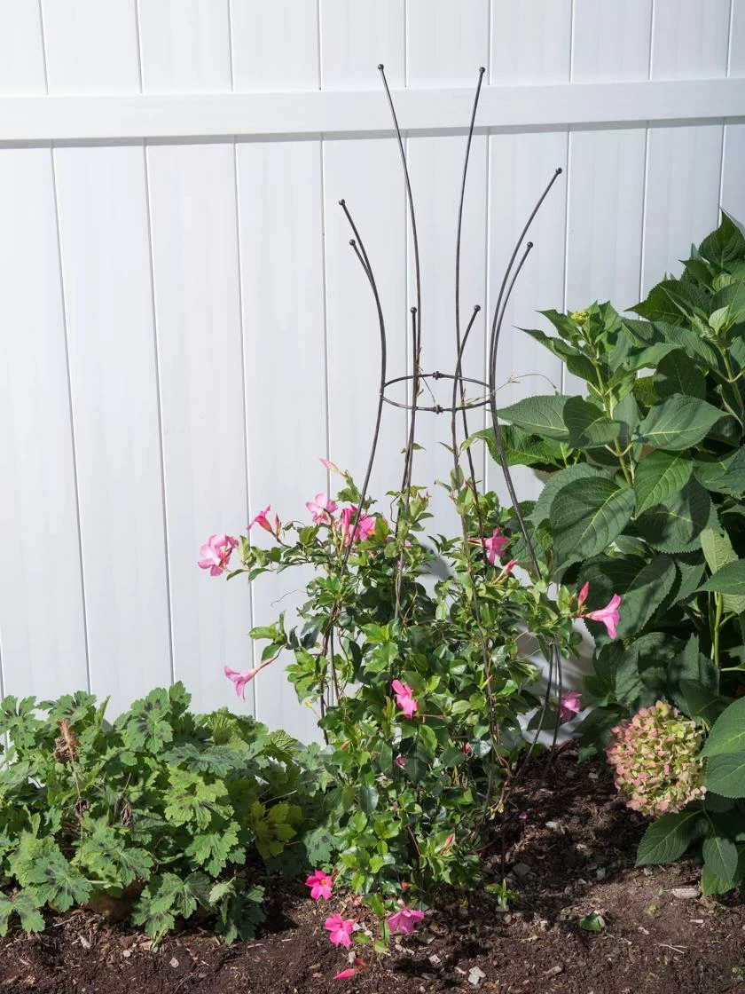 Jardin Pot Trellis 4 Jardin Pot Trellis - Image 2