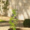 Jardin Pot Trellis -garden Sales Store 8587120 224 tif