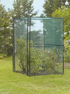Crop Cage, 4' X 4' -garden Sales Store 8587832 149 tif