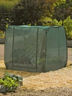 Pest Control Pop-Ups -garden Sales Store 8587859 026 tif