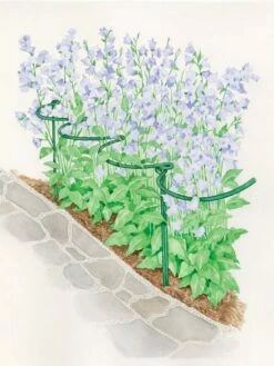 Tidy Path Supports -garden Sales Store 8588403 003 1