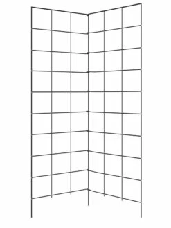 Two Panel Folding Trellis