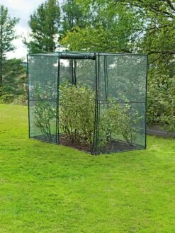 Crop Cage, 4' X 8' -garden Sales Store 8589160 002 tif