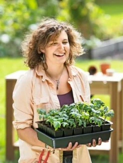 Growease Seed Starter Kit -garden Sales Store 8589987 0446 tif