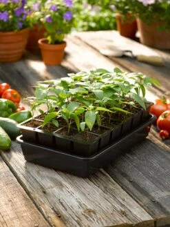 Growease Seed Starter Kit -garden Sales Store 8589987 1148 tif