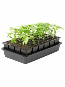 Growease Seed Starter Kit -garden Sales Store 8589987 1153 tif