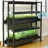 2-Tier SunLite® Garden 2 2-Tier SunLite® Garden -garden Sales Store 8590049 2489 grow lights with two shelves large tif