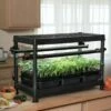 Stack-n-Grow Lights - Base Unit -garden Sales Store 8590139 2837 stacking grow light system tif